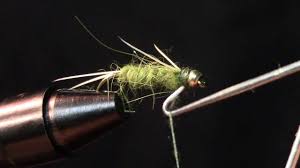 Fly Tying get together via Zoom 3/10 @ 6pm