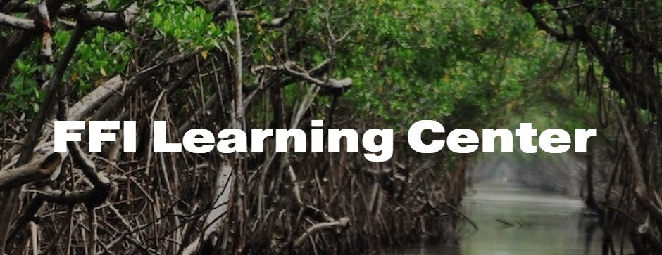 FFI Learning center