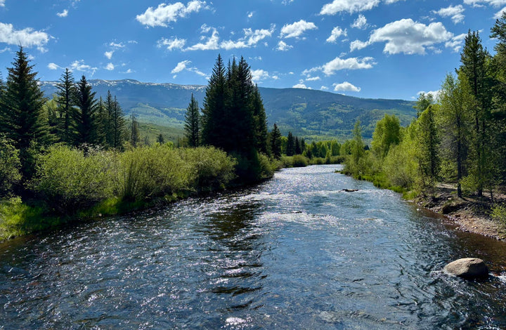 Blue River (below the Dam) Fly Fishing