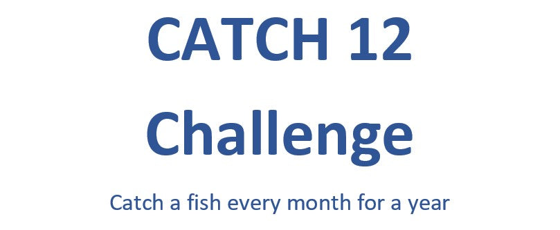 CATCH 12 CHALLENGE