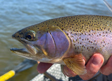 Colorado Classic - Float Trip - Capt. Jeff Johnson [1 of 2]
