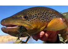 Colorado Classic - Float Trip - Capt. Tanner (Troutbum) Golver [1 of 2]