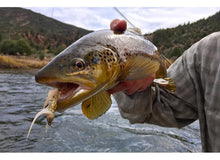 Colorado Classic - Float Trip - Capt. Tanner (Troutbum) Golver [1 of 2]