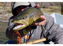 Colorado Classic - Float Trip - Capt. Tanner (Troutbum) Golver [1 of 2]